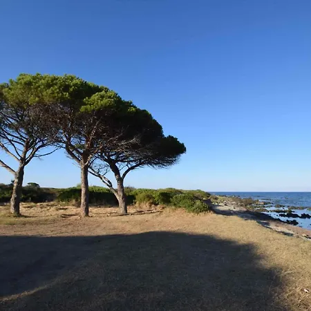 Viletta Sul Mare